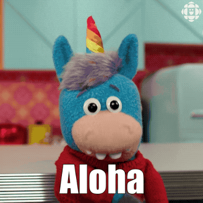 Studio K Cbc Kids GIF