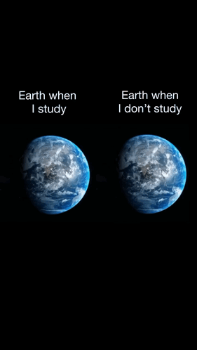 Study No Study GIF