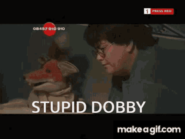 Stupid Dobby GIF