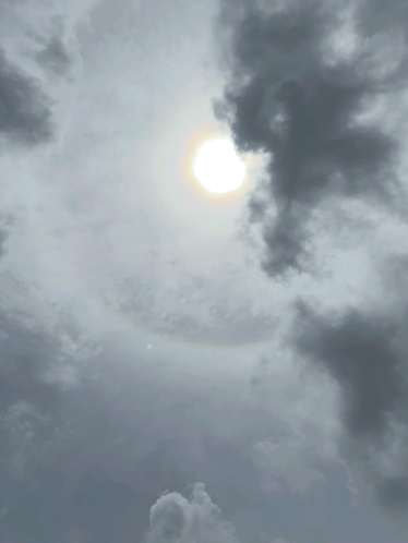 Sun Sun Halo GIF