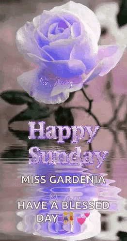Sunday Blessings GIF