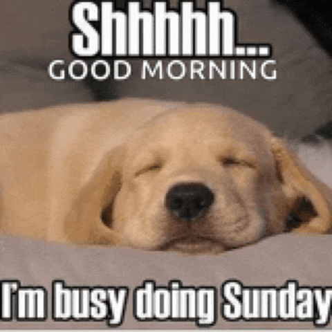Sunday Sunday Dog Meme