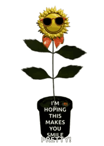 Sunflower GIF