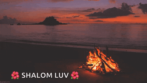 Sunset Fire GIF