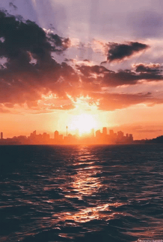 Sunset Shimmer Sunsets GIF