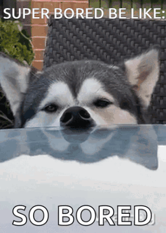 Super Bored So Bored GIF