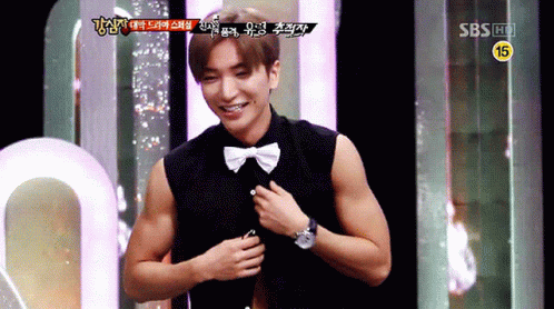 Super Junior Elf GIF