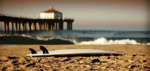 Surfboard...Surfboard... GIF