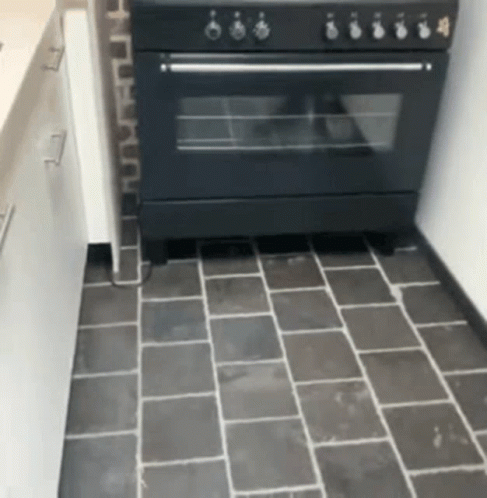 Surprise Excited GIF