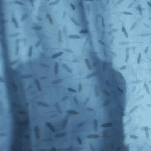 Surprise Motherfcker James Doakes GIF