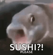 Sushi Lol GIF