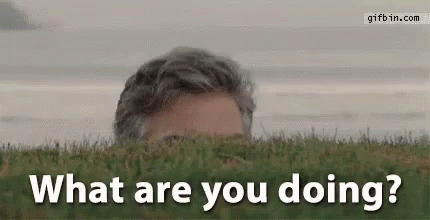 Suspicious Whats Up Gif GIF