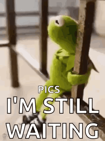Sussa GIF
