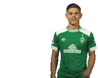 Svw Werder Sticker
