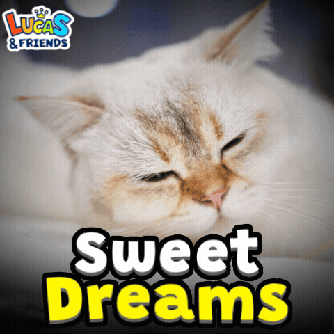 Sweet Dreams Good Dreams GIF