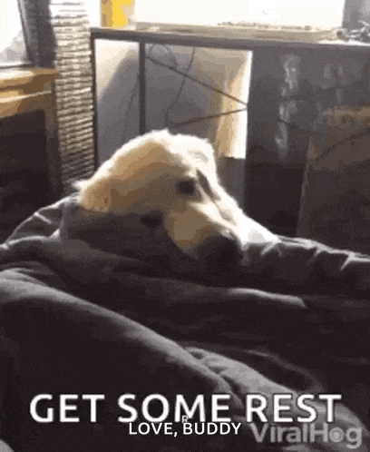 Sweet Dreams GIF
