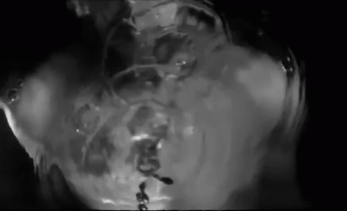 Swimming Washing Face GIF