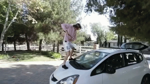 Sword Windshield GIF