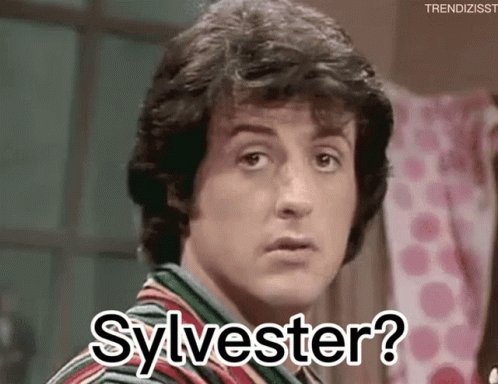 Sylvester Silvester GIF