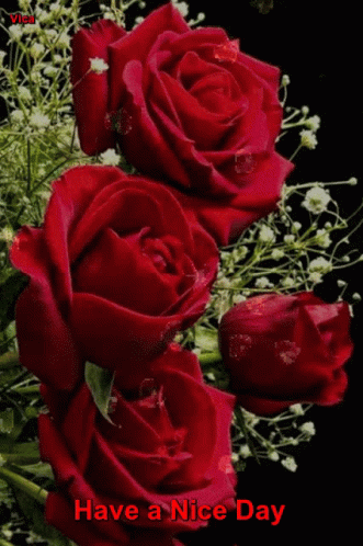 Szép Napot GIF