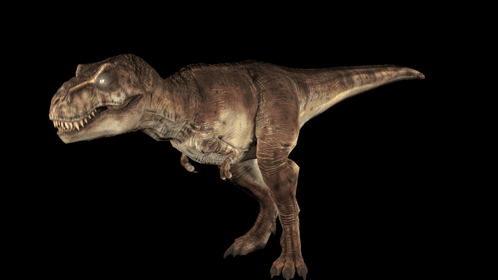 T Rex Walking 2 GIF