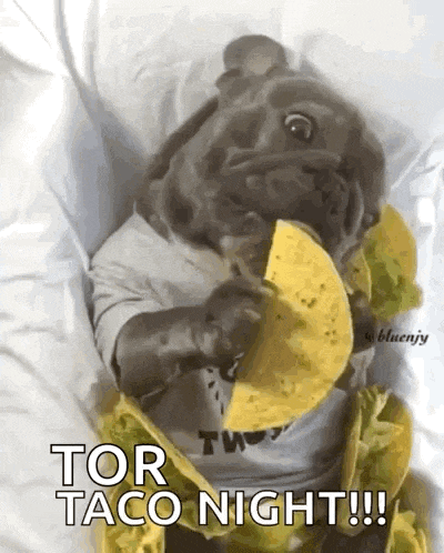 Tacos Dog GIF