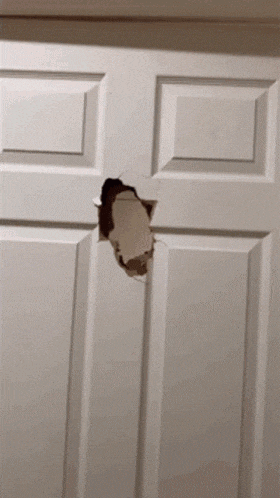 Taiga Vtuber GIF