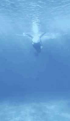 Tail Silly GIF