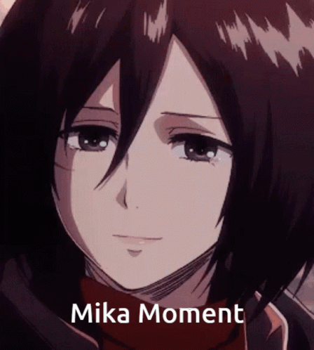 Taken Mika Mikasa GIF