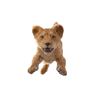 Taking A Leap Mufasa Sticker