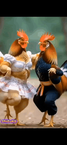 Tari Dance GIF