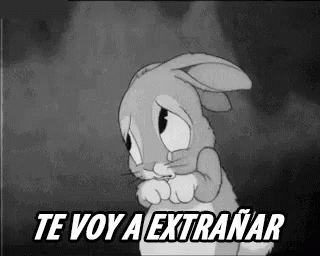 Te Voy A Extrañar GIF