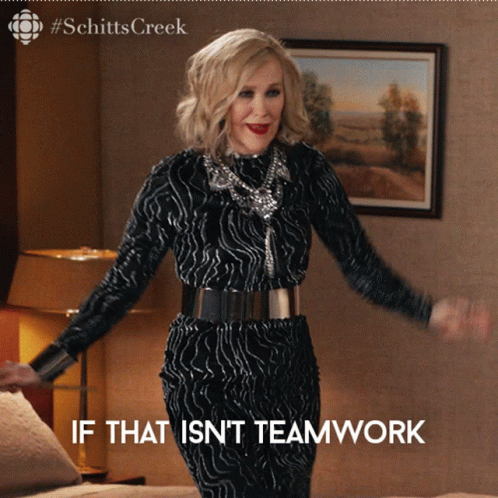 Teamwork Moira GIF