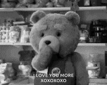 Ted Ted2 GIF