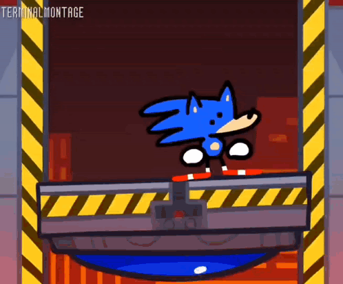 Terminalmontage Sonic GIF