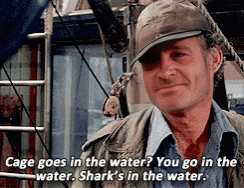 Terry Schappert Quint Terry Schappert Jaws GIF