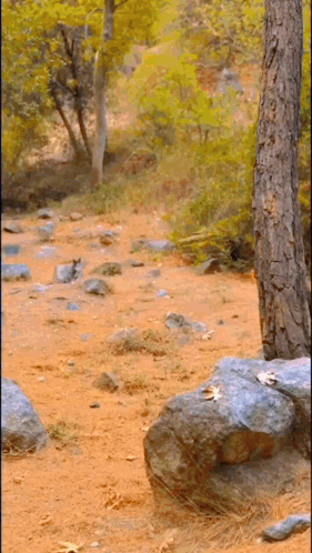 Tf2 Tf2 Memes GIF