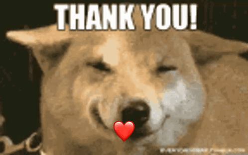 Thank You GIF