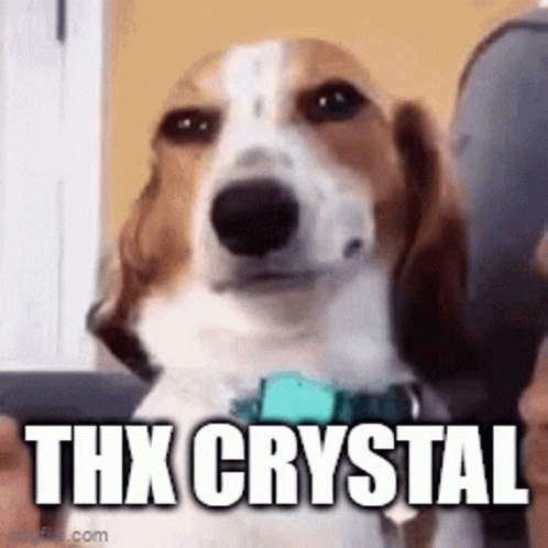 Thank You Thx GIF