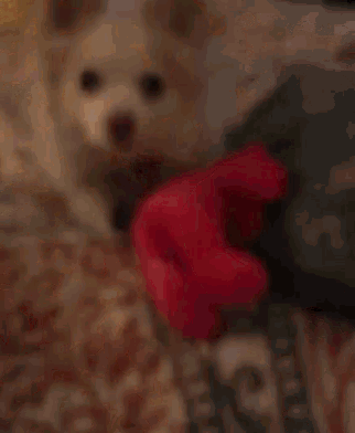 Thank You Very Much For GIF