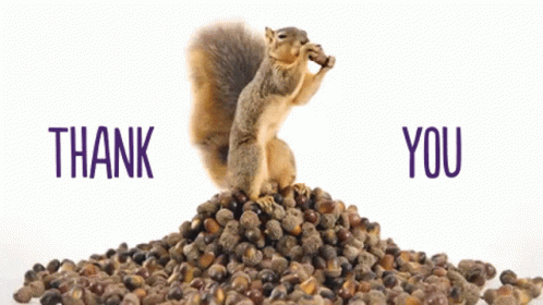 Thank Yu Thanks GIF