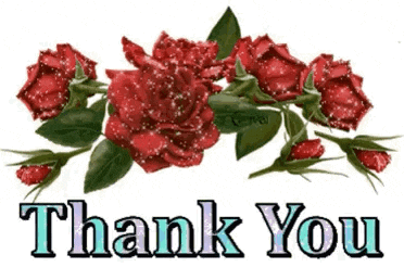 Thanks Thank You GIF