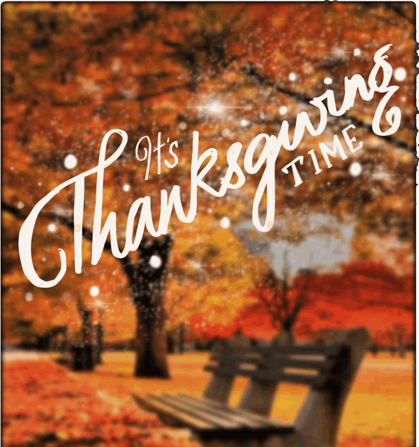 Thanksgiving Happy Thanksgiving GIF
