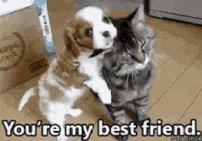 Thanksgiving Love GIF
