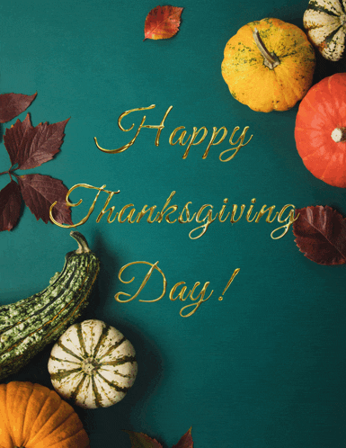 Thanksgiving Meme