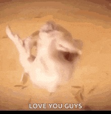 Thanksgiving Party GIF