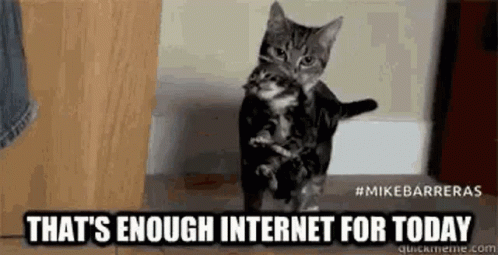Thats Enough Enough Internet GIF