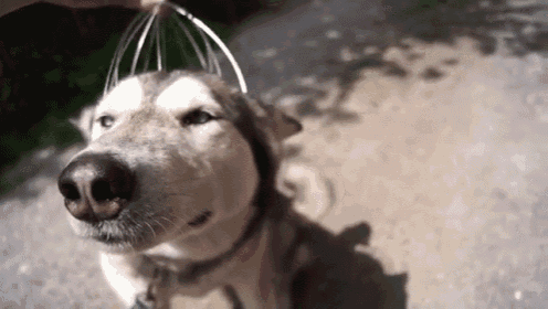 That'S The Spot GIF