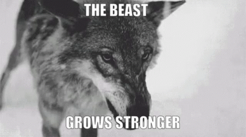 The Beast Grows Stronger Warwick GIF