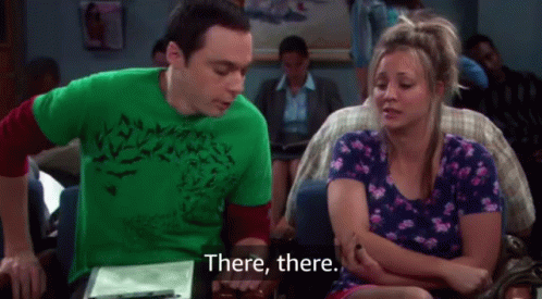 The Big Bang Theory Sheldon Cooper GIF